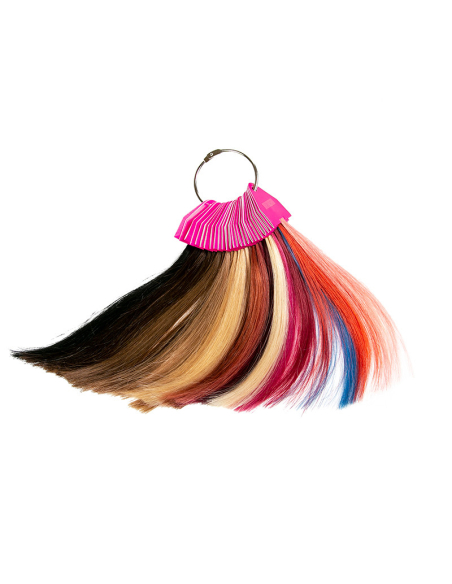 Carta de colores Elite Extension