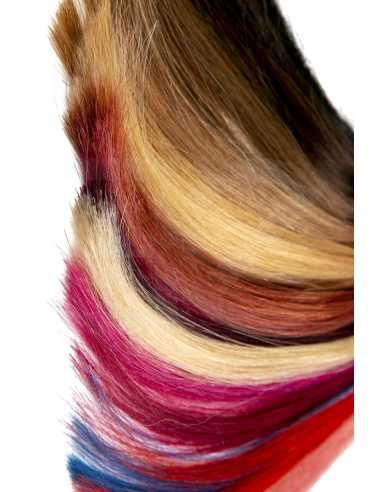 Carta de colores Elite Extension